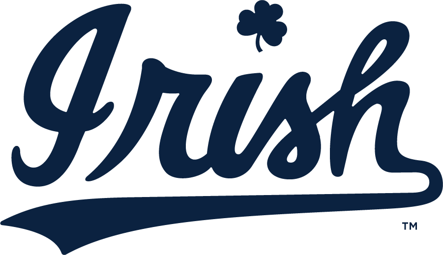 Notre Dame Fighting Irish 2015-Pres Wordmark Logo v2 DIY iron on transfer (heat transfer)